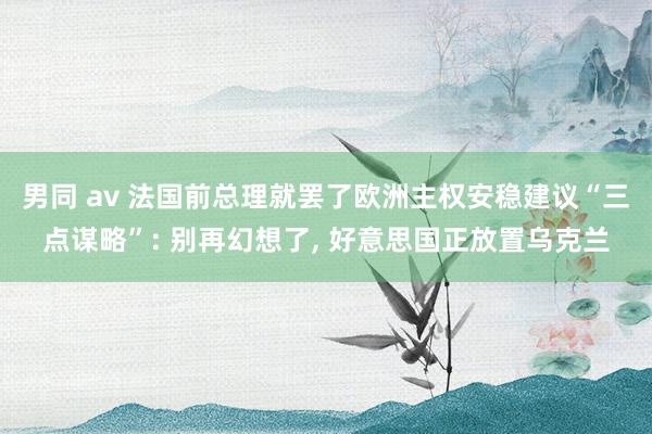 男同 av 法国前总理就罢了欧洲主权安稳建议“三点谋略”: 别再幻想了， 好意思国正放置乌克兰