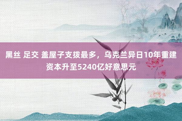 黑丝 足交 盖屋子支拨最多，乌克兰异日10年重建资本升至5240亿好意思元