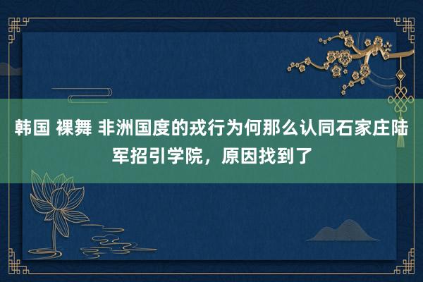 韩国 裸舞 非洲国度的戎行为何那么认同石家庄陆军招引学院，原因找到了