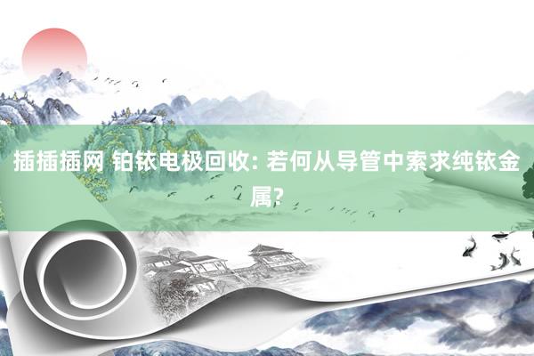 插插插网 铂铱电极回收: 若何从导管中索求纯铱金属?