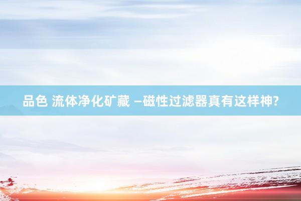 品色 流体净化矿藏 —磁性过滤器真有这样神?