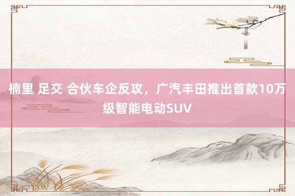 楠里 足交 合伙车企反攻，广汽丰田推出首款10万级智能电动SUV